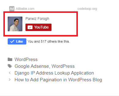 Add YouTube Subscribe Button in WordPress Blog