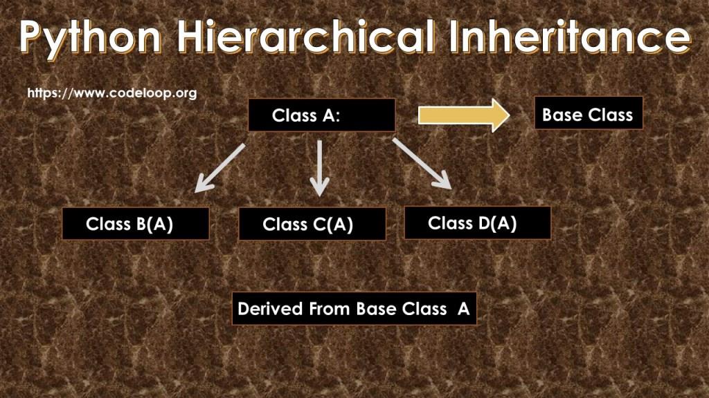 Python Hierarchical Inheritance 